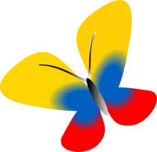 mariposa-colombia